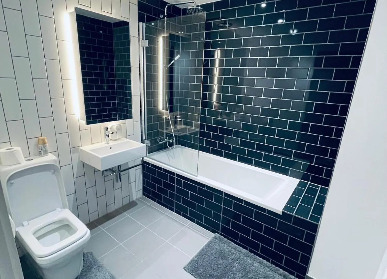 Ds Rentals - Entire 1 Bedroom Apartment 伦敦 0*,  英国